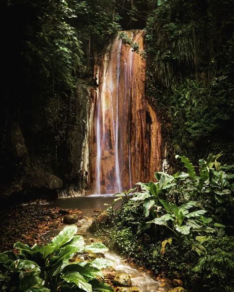 Waterfall in the Jungle