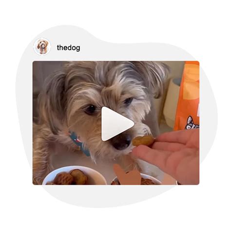Instagram Downloader Video Reels Story Photo Thumbnail