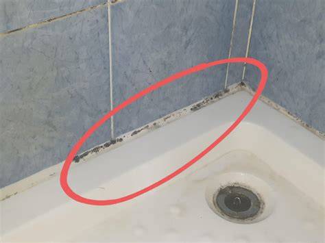 Will Steam Cleaner Kill Mold in Shower?: Surefire Tips - Easy Clean Wash