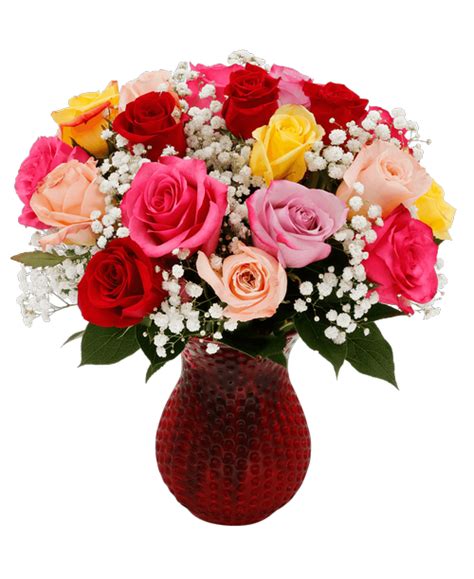 Roses | Connells Maple Lee flowers and gifts - Flowers, Plants & Gifts with same day delivery