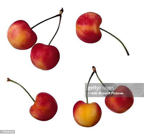 23 Royal Ann Cherry Stock Photos, High-Res Pictures, and Images - Getty ...