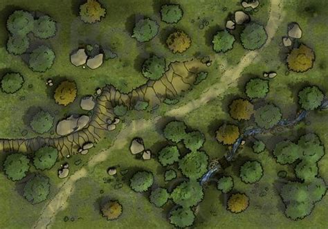 Roll20 Forest Map