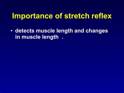 Motor Nervous System Stretch Reflex Ppt