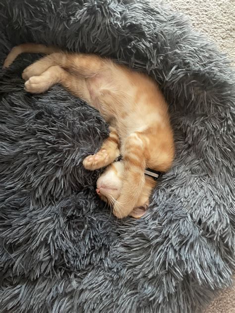 NUNU NELLZ (@nunuu_nellz) / Twitter