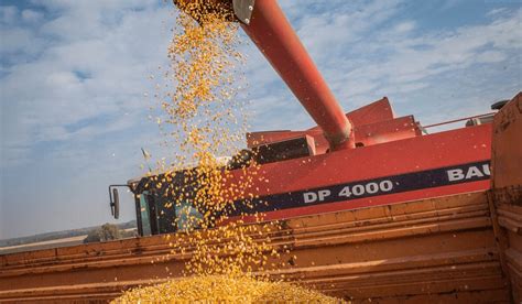 Масло соевое нерафинированное — ООО «РУСАГРОПРОМ»