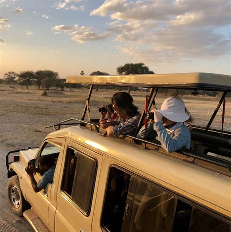 10 Best African Safari Tours 2024/2025 - TourRadar