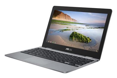Asus представила бюджетный хромбук Chromebook 12 C223 | gagadget.com