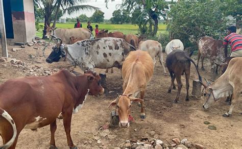 farm  table movement       matters