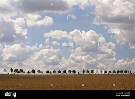large  small stock photo alamy