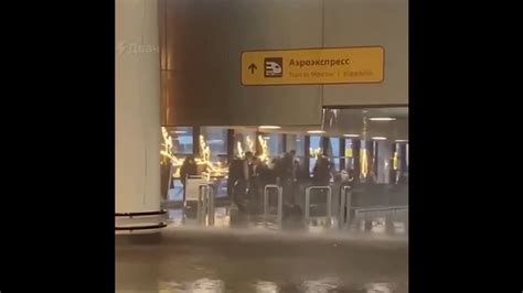 Аэропорт Шереметьево затопило из-за голодного сотрудника «Аэрофлота» и ...