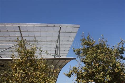 Canopy With Two Trees Barcelona Spain Stock Photo Image Of Spain