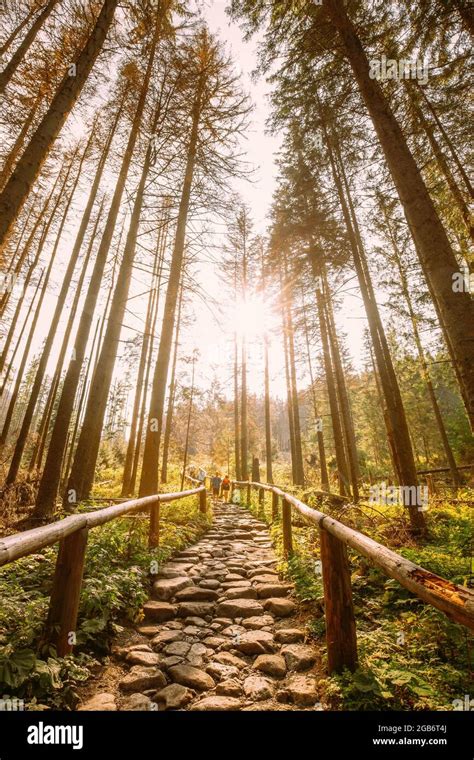 tatra national park poland hiking trails  summer tatra mountains