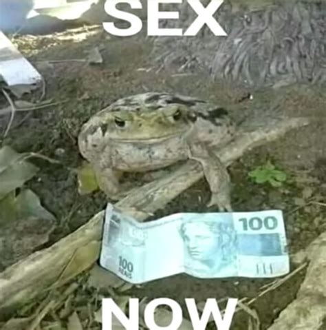 Sex Now Meme Subido Por G Ll T Man Memedroid