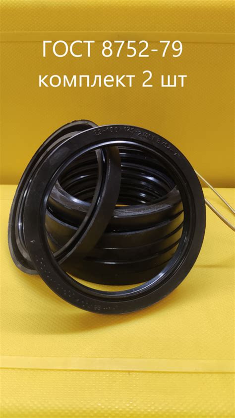 Сальник 2.2-100х125х12 комплект 2 шт ГОСТ 8752-79 (манжета армированная ...