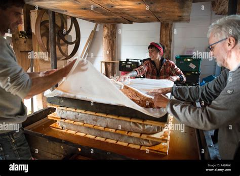Craft Cider Making Traditional Wooden Apple Press Building A Cheese