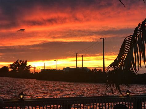 Total Chaos Fishing Team added... - Total Chaos Fishing Team