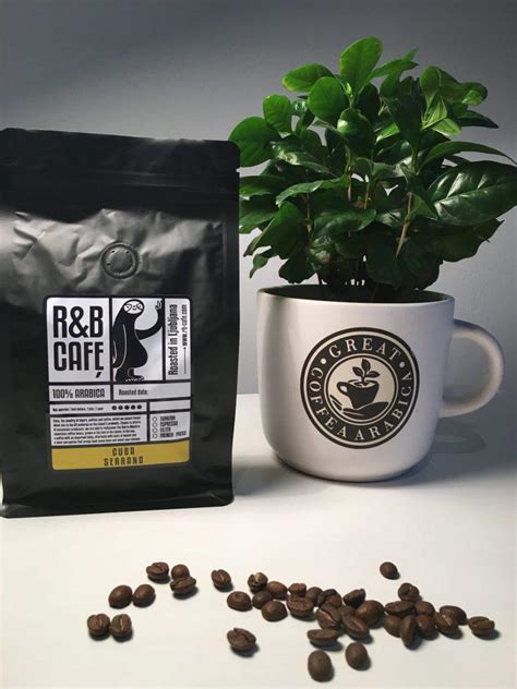 Kuba Serrano 250 g (R&B Cafe) - Kupi Lokalno