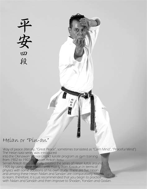 Heian 平 安 Kata Heian Yondan” Atanzadeh 8th Dan Kyoshi Of World