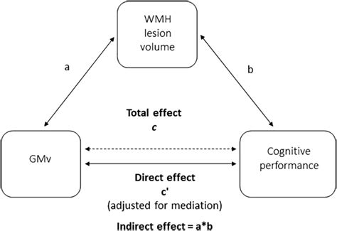 Schematic Illustration Of The Mediation Statistical Model Running In Download Scientific