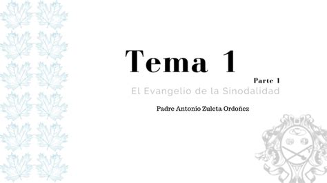 Tema Evangelio De La Sinodalidad San Lucas Evangelio Del Camino