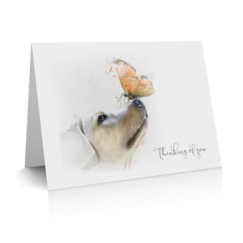 Sympathy Card Sc05 Veterinary Branding