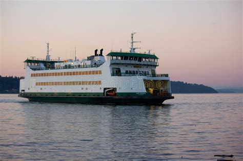 248 Seattle Boat Trip Sea Creatures Stock Photos - Free & Royalty-Free ...