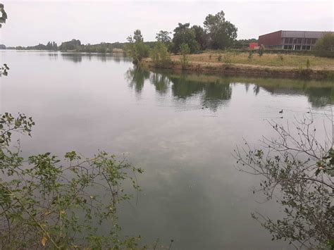 Pr S De Toulouse La Baignade Interdite Au Lac De La Ram E En Proie