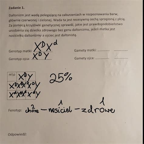 Karta Pracy W Za Czniku Daje Pkt Brainly Pl