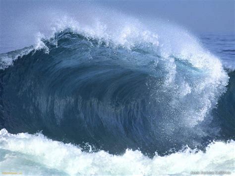 Las Olas Caracter Sticas Y Formas Viento En Popa