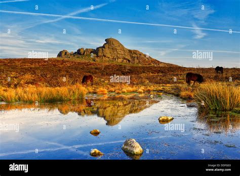 Haytor, Dartmoor National Park Stock Photo - Alamy