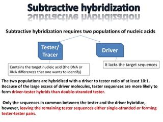 Subtractive Hybridization PPT