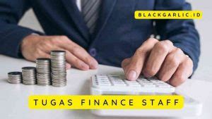 tugas  fungsi finance staff  perusahaan