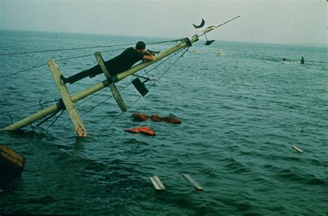 Les Dents De La Mer Steven Spielberg Voir Et Manger