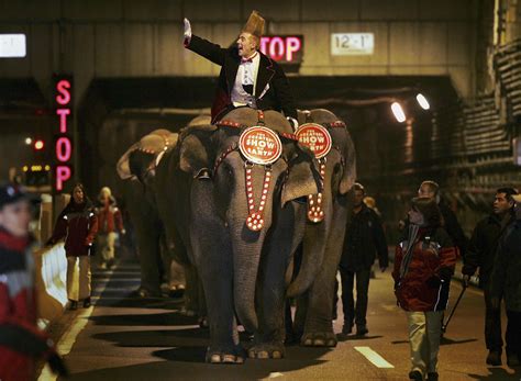 Ringling Brothers Elephants End Of An Era For Ringling Brothers