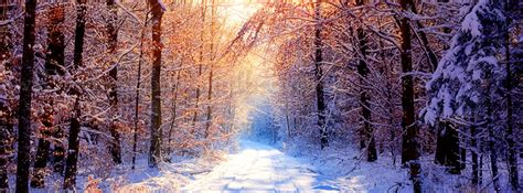 Winter-Facebook-Cover (11) - 9970 - The Wondrous Pics