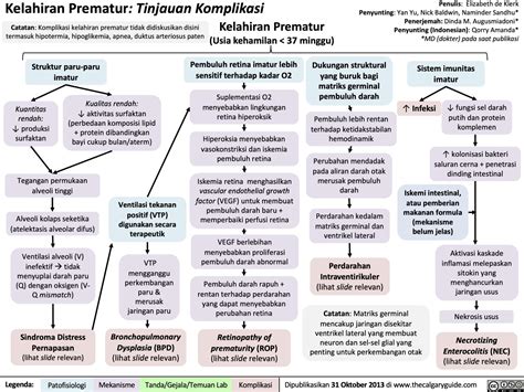 Kelahiran Prematur Tinjauan Komplikasi Calgary Guide