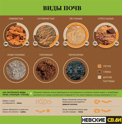 Основные типы грунта и выбор фундамента в Ленинградской области ...