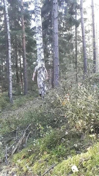 Vidéos porno gratuites Forêt Gay xHamster