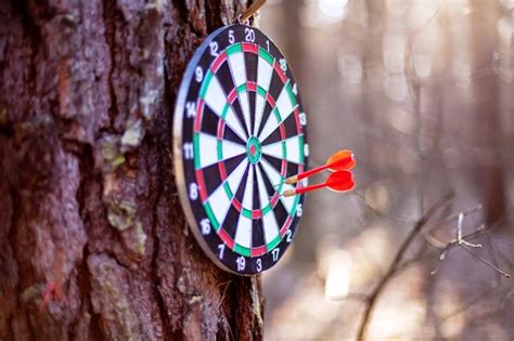 Дартс это что такое: Дартс | это... Что такое Дартс?