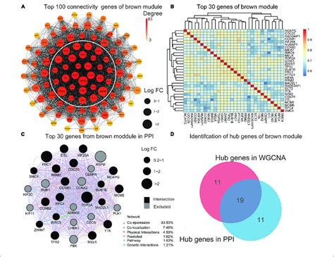 Identification Of Hub Genes A The Ppi Network Of The Top 100