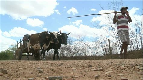 Moradores enfrentam a pior seca dos últimos 50 anos em municípios de