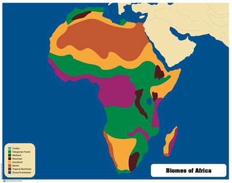 biomes puzzle map  africa montessori material montessori geography