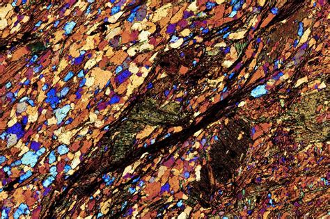 Mica Schist Thin Section Polarised Lm Stock Image C0072385