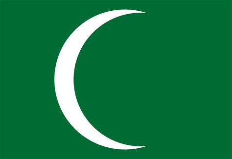 Флаг Саудовской Аравии: фото, цвета, значение, история | Flags-World