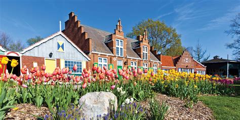 Holland Tulip Festival - Mayflower Cruises & Tours 2027