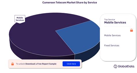 Cameroon Telecom Operators Country Intelligence Report