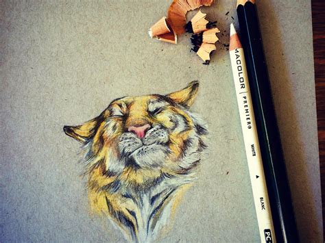 Easy Tiger By Charli On Dribbble