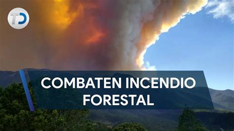 Reportan Incendio Forestal En La Sierra Ubicada En Los Límites De