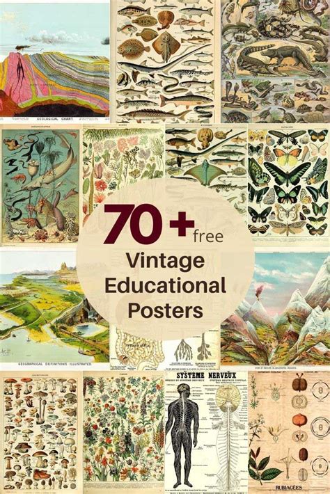 A Wonderful Free Collection Of Vintage Educational Posters Including The Complete Adolphe Millot