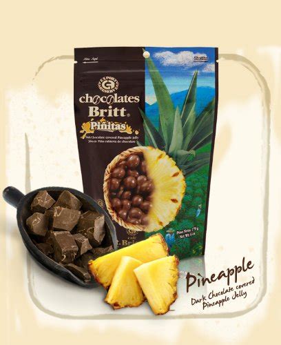 Dark Chocolate Covered Pineapple | Best Chocolate Shop